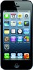 Apple iPhone 5 16GB - Йошкар-Ола